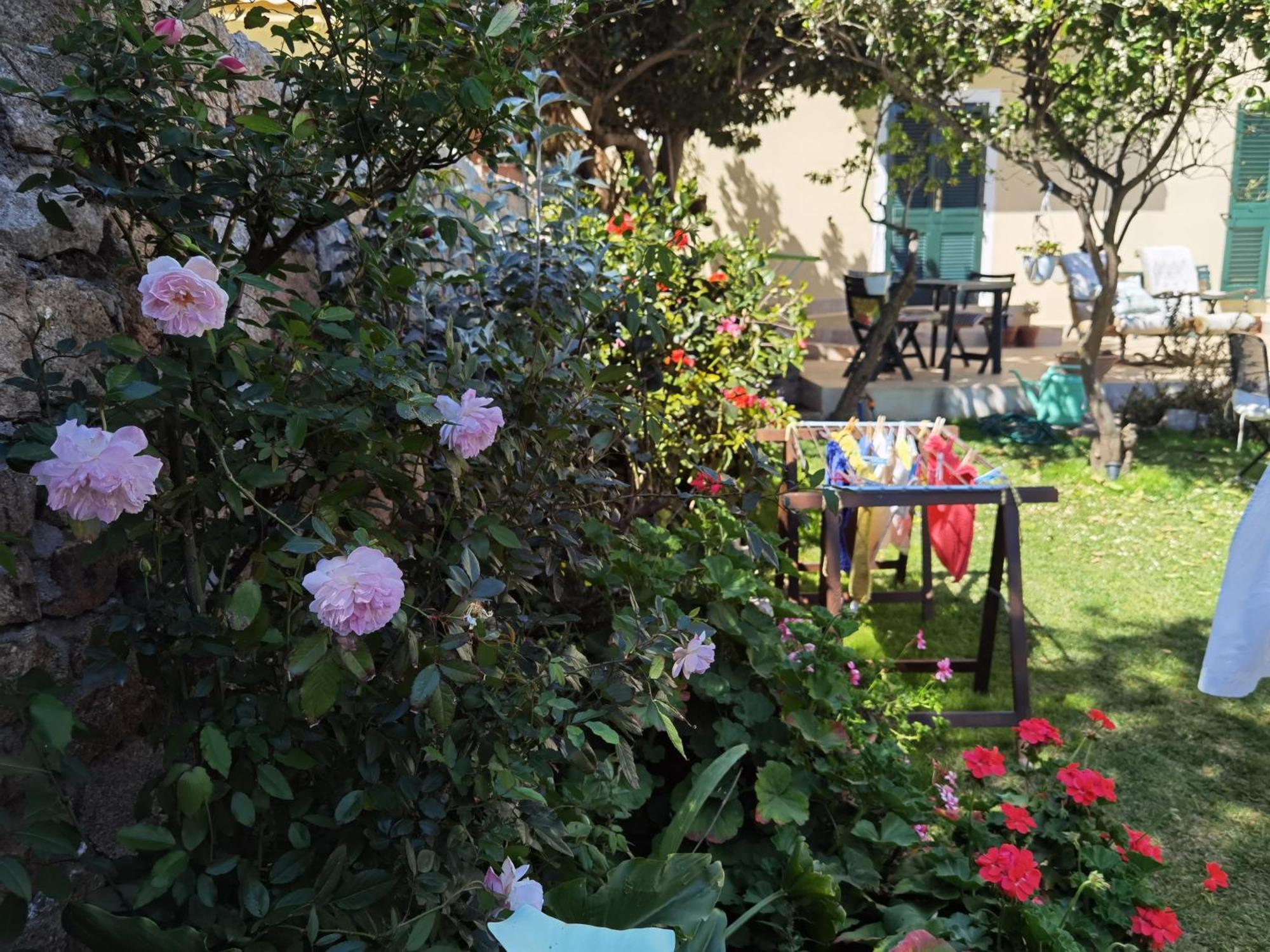 Il Giardino Di Tatiana Rooms & Breakfast La Maddalena  Cameră foto